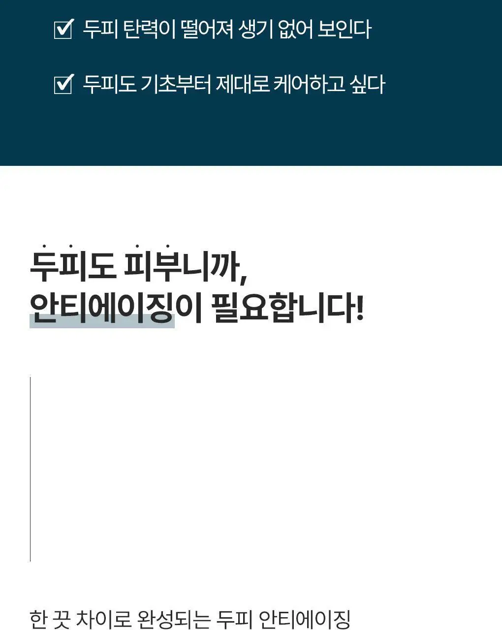 [탄력뿌리볼륨샴푸]라우쉬 윌로우바크 트리트먼트 샴푸 200ml 상세페이지 4